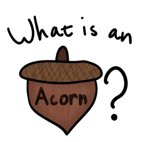 acorn » Tagalog .